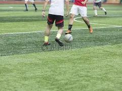 狗狗币,社交传播下,的忠实虚拟,开云体育,开云体育官网,开云体育app,开云体育平台,KAIYUN,SPORTS,kaiyun登录入口