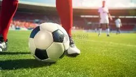 开云体育官网入口 资讯 113113 nli