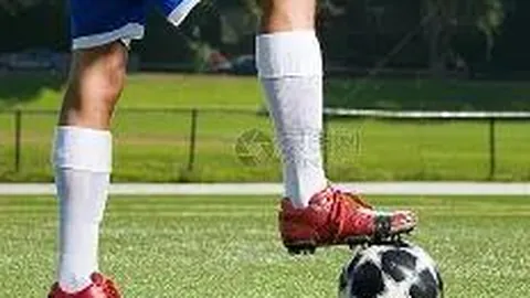 开云体育官网入口 资讯 112444 yc3