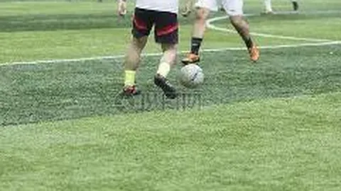 狗狗币：社交传播下的忠实虚拟货币盟友（Web3官网）