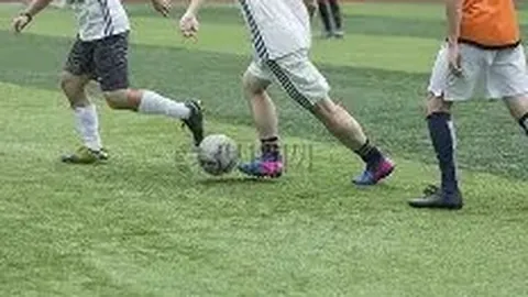 开云体育官网入口 产品 095521 j5y