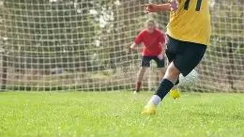 开云体育官网入口 产品 094152 28p